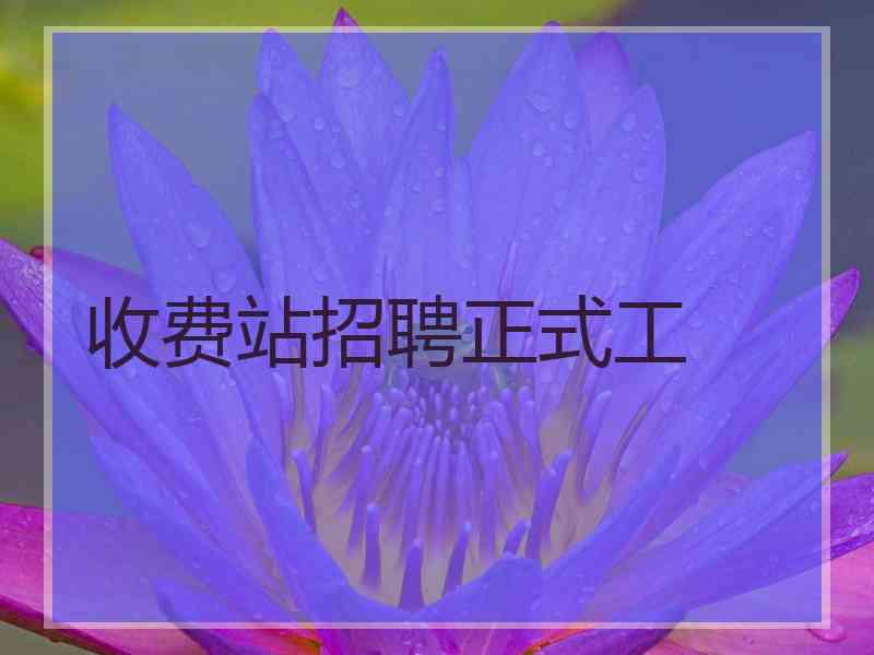 收费站招聘正式工