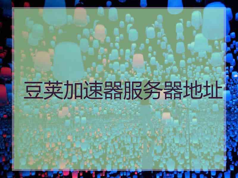 豆荚加速器服务器地址