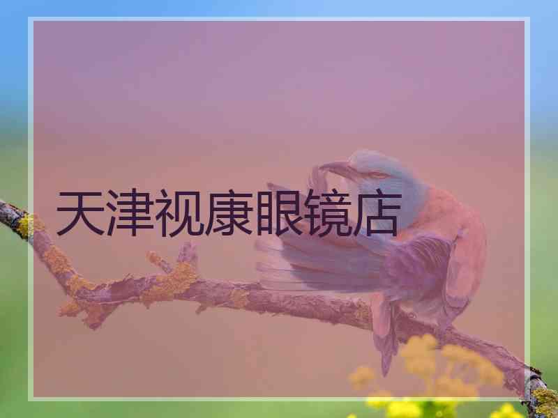 天津视康眼镜店