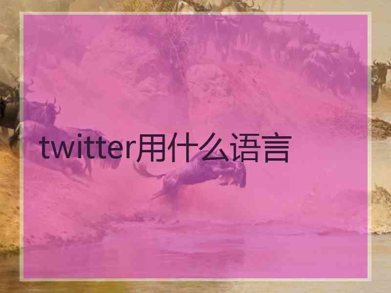 twitter用什么语言
