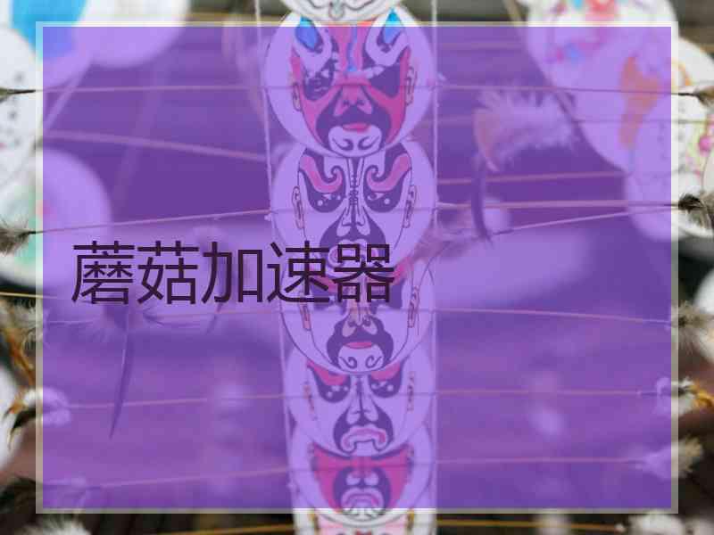 蘑菇加速器