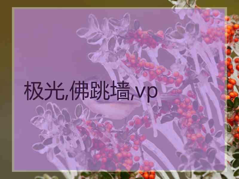 极光,佛跳墙,vp