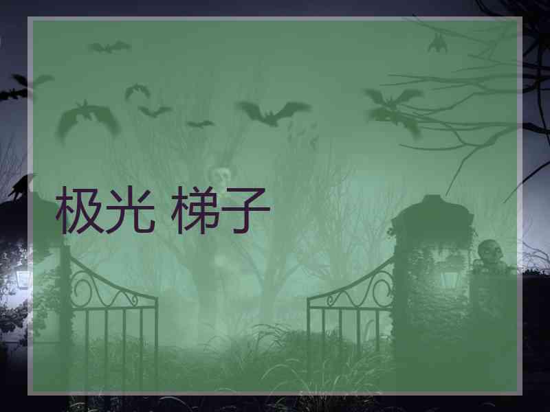 极光 梯子