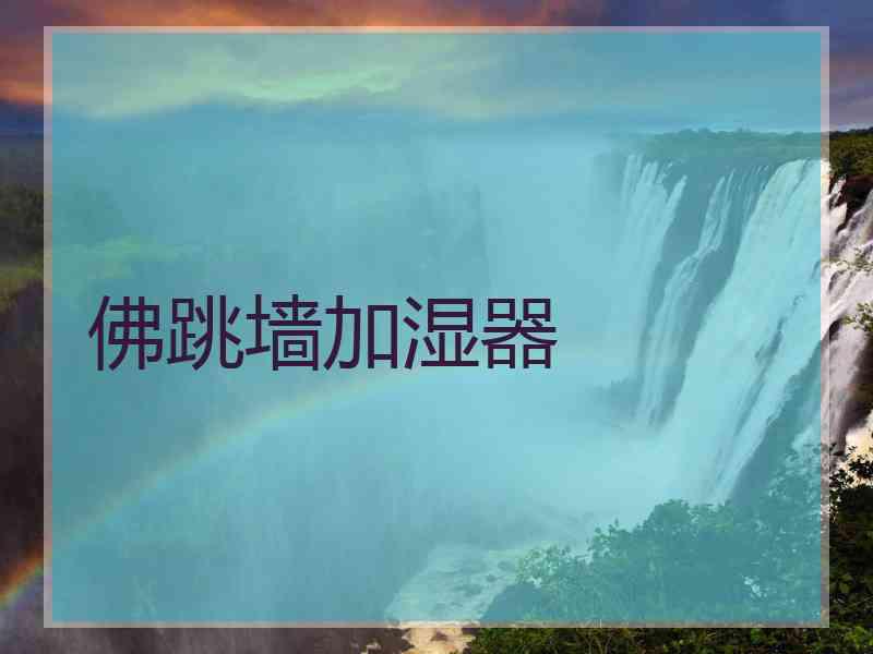 佛跳墙加湿器