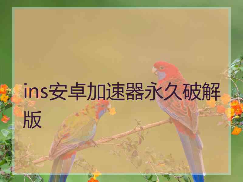 ins安卓加速器永久破解版