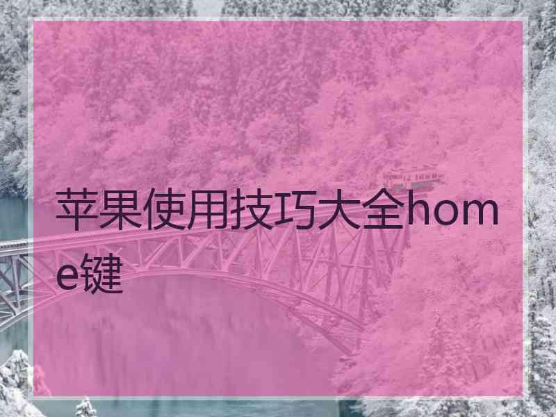 苹果使用技巧大全home键