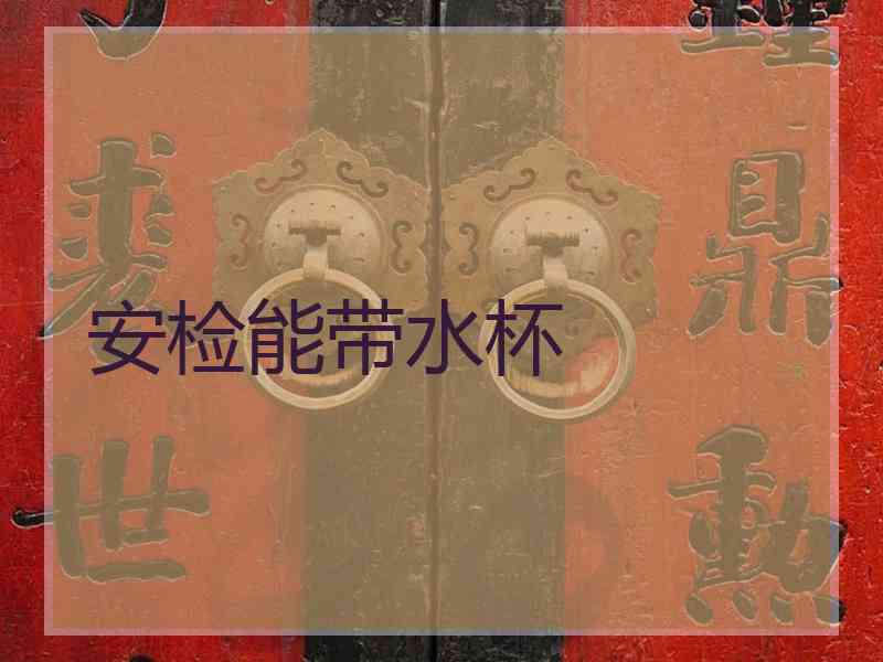 安检能带水杯