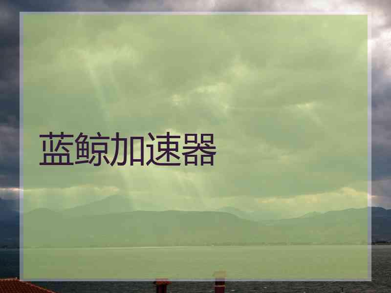 蓝鲸加速器