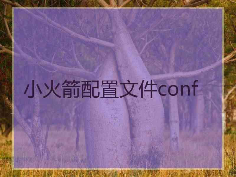 小火箭配置文件conf