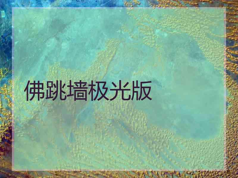 佛跳墙极光版