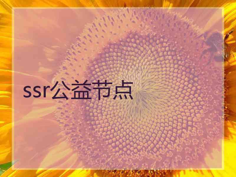 ssr公益节点