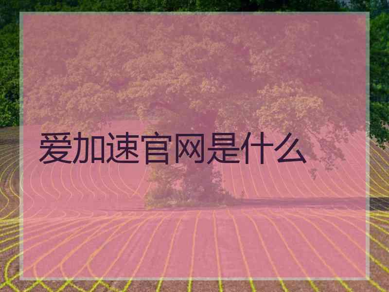 爱加速官网是什么