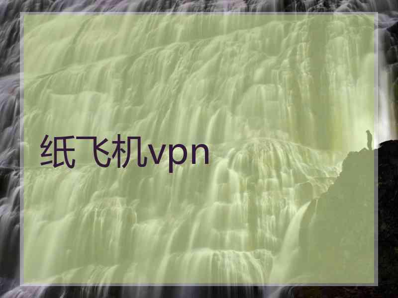 纸飞机vpn