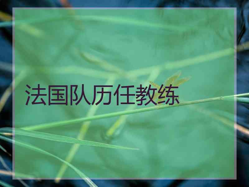 法国队历任教练
