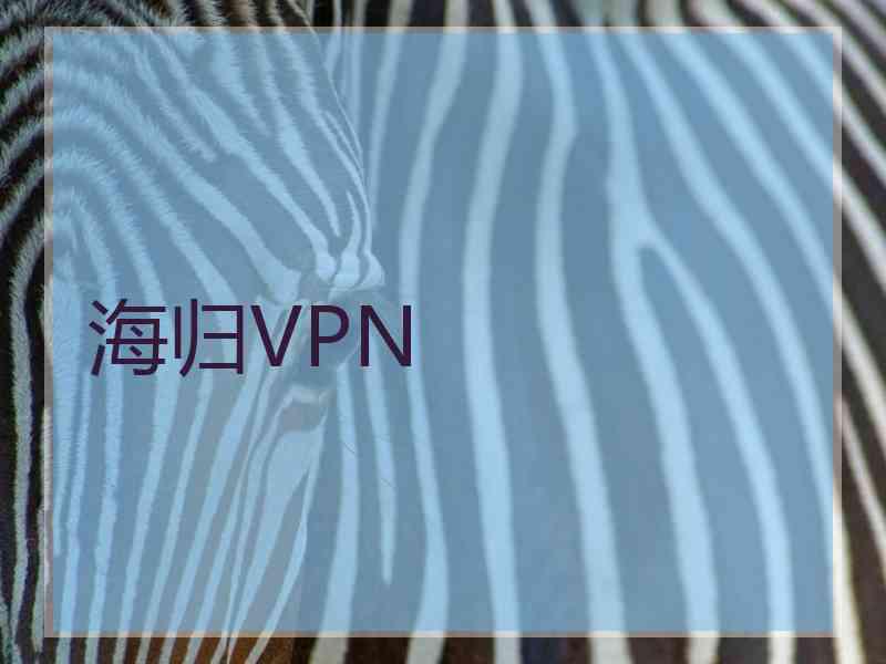 海归VPN