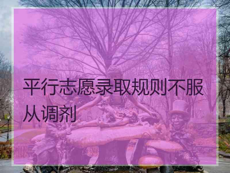 平行志愿录取规则不服从调剂
