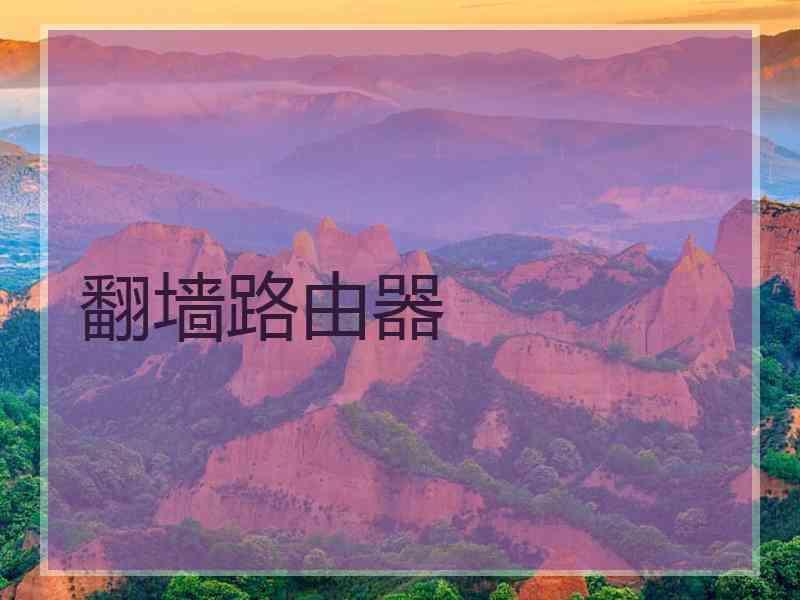 翻墙路由器