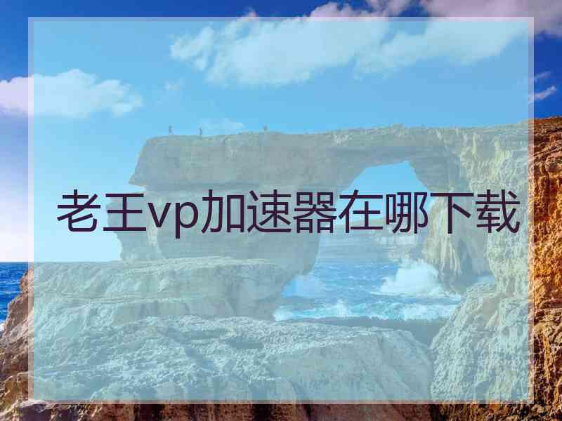 老王vp加速器在哪下载
