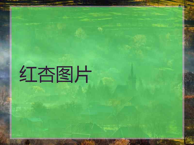 红杏图片