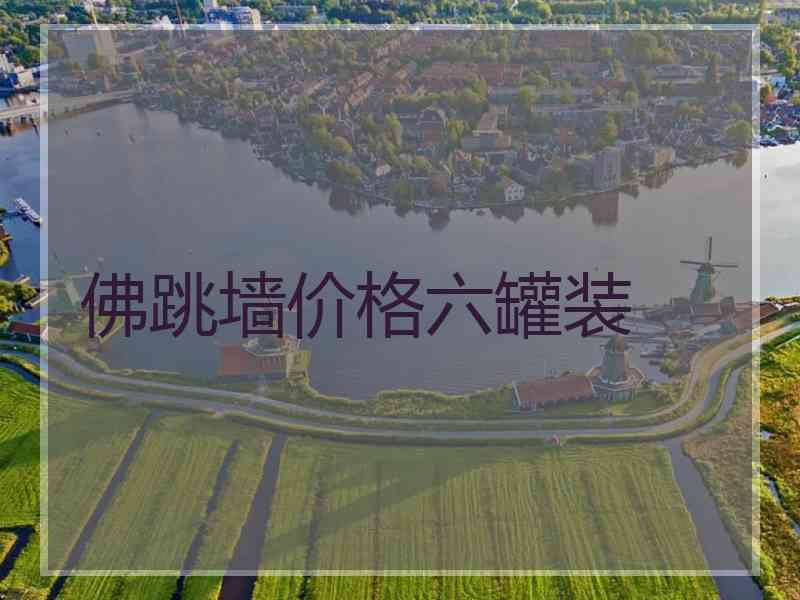 佛跳墙价格六罐装