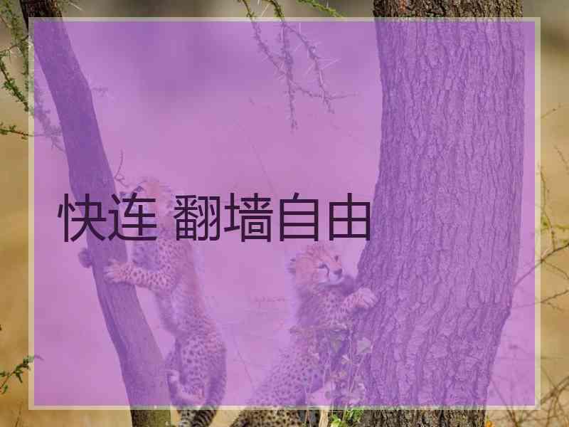 快连 翻墙自由