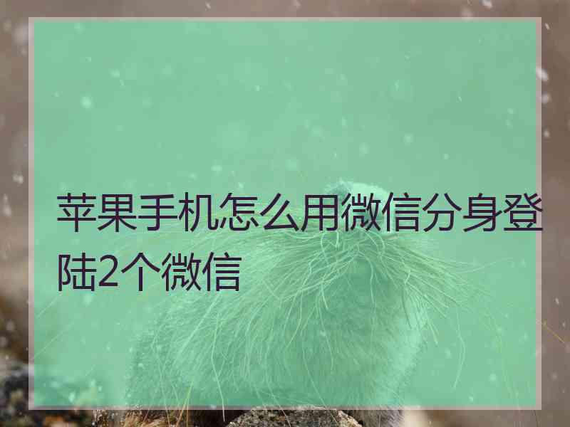 苹果手机怎么用微信分身登陆2个微信