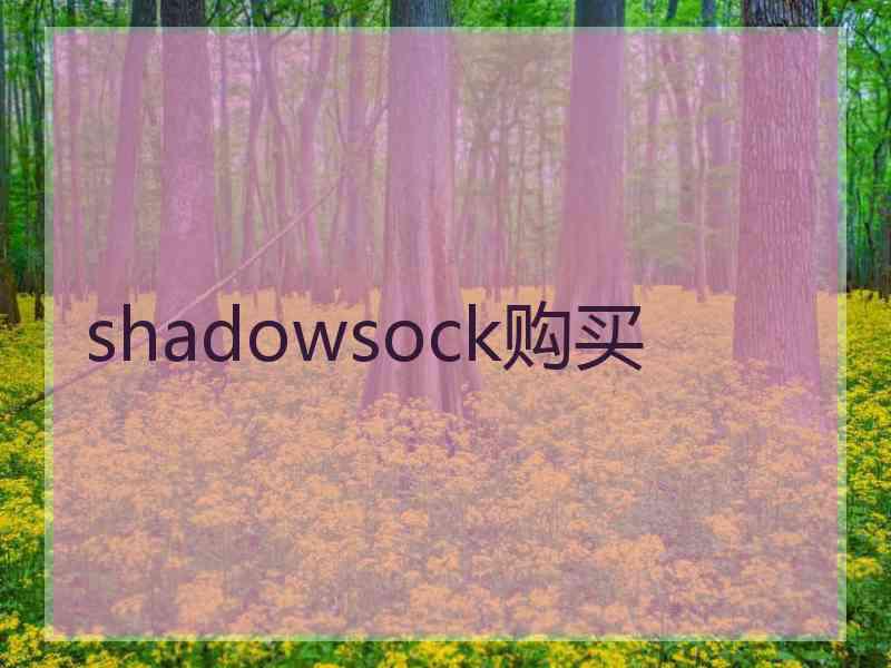 shadowsock购买