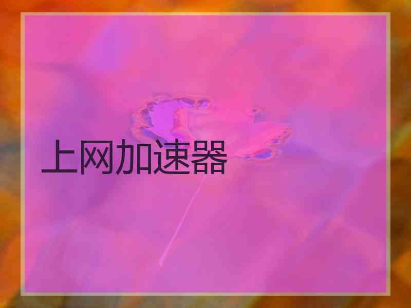 上网加速器