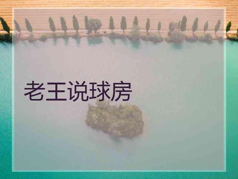 老王说球房