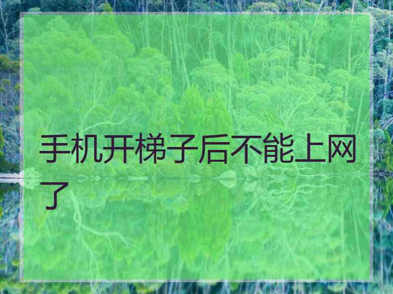 手机开梯子后不能上网了