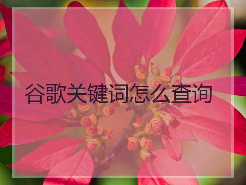 谷歌关键词怎么查询