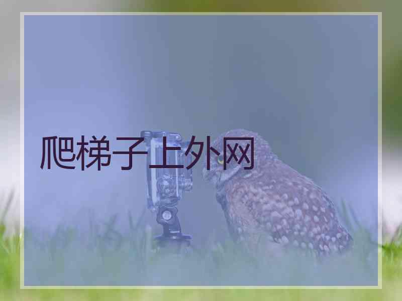 爬梯子上外网
