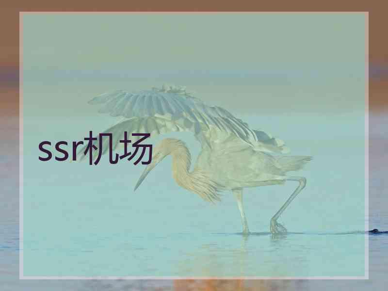ssr机场