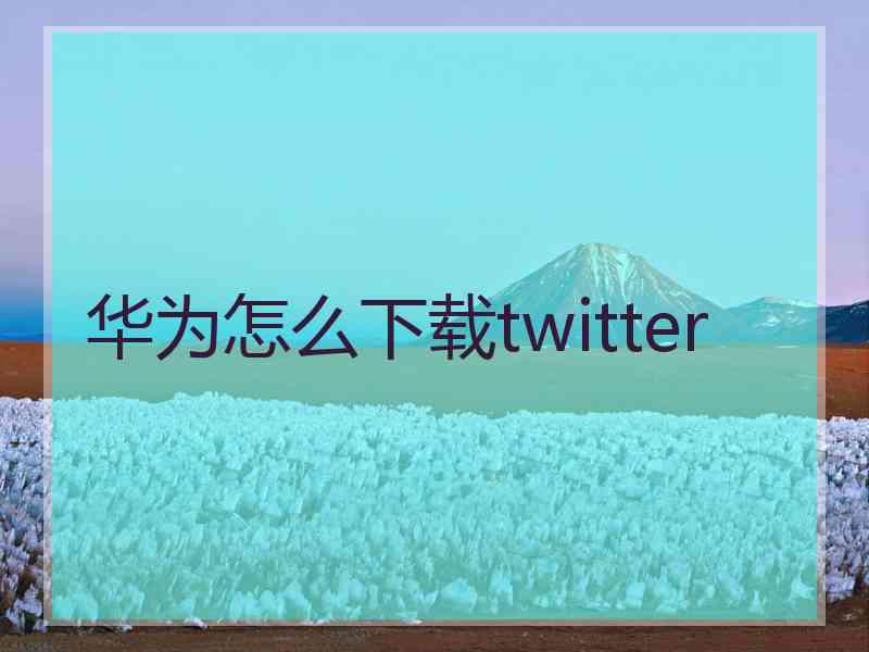 华为怎么下载twitter