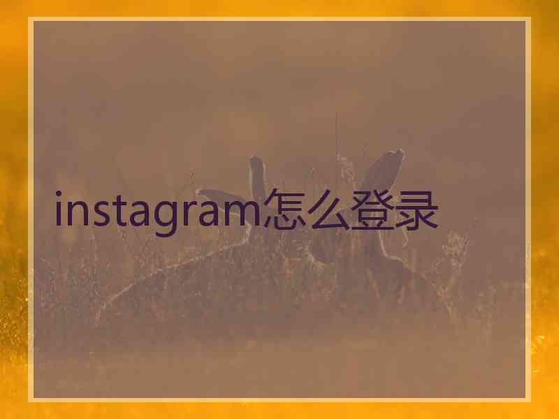 instagram怎么登录