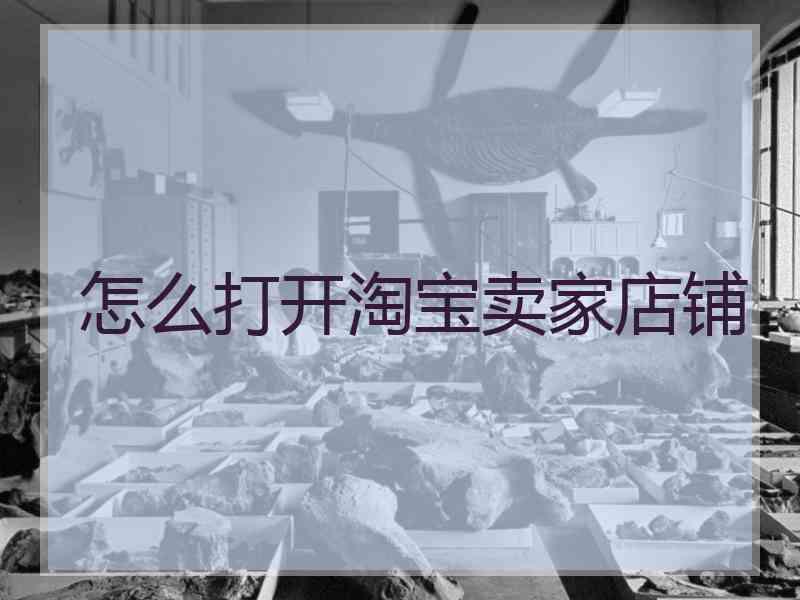 怎么打开淘宝卖家店铺