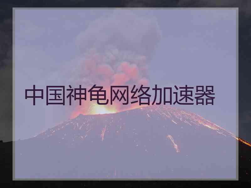 中国神龟网络加速器