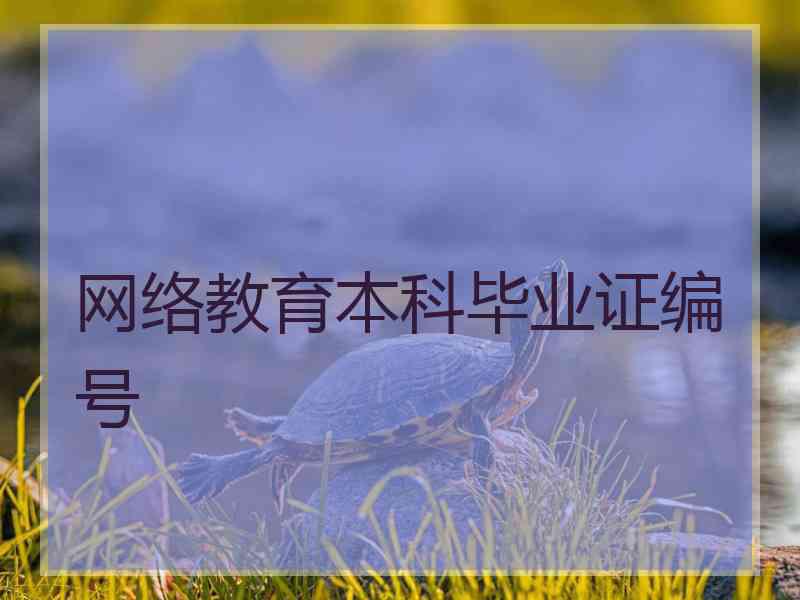 网络教育本科毕业证编号
