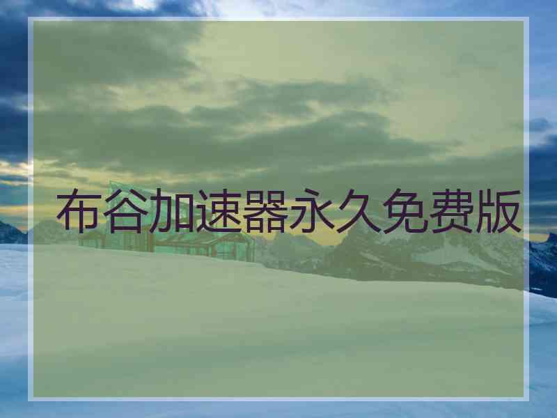 布谷加速器永久免费版