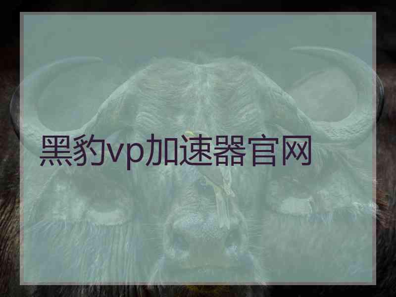 黑豹vp加速器官网