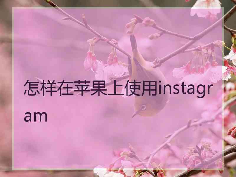 怎样在苹果上使用instagram