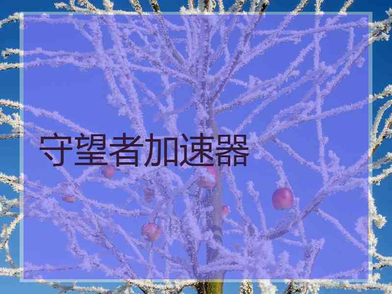 守望者加速器