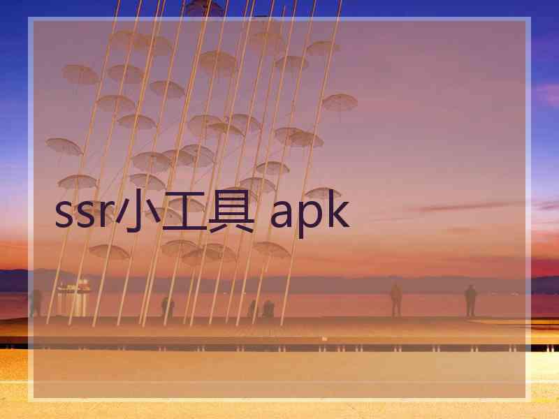 ssr小工具 apk