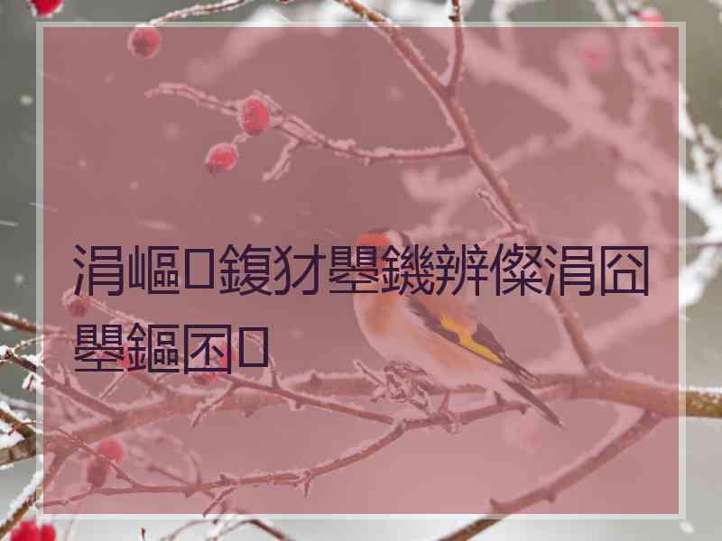 涓嶇鍑犲瞾鐖辨儏涓囧瞾鏂囨