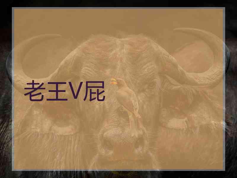 老王V屁