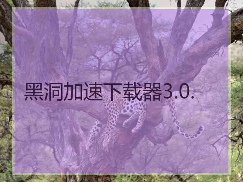 黑洞加速下载器3.0.