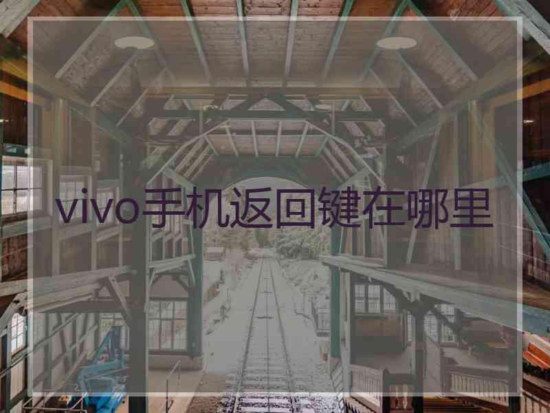 vivo手机返回键在哪里