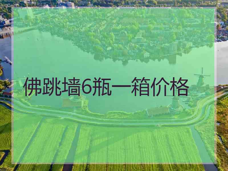 佛跳墙6瓶一箱价格