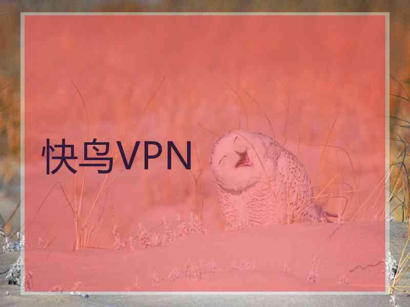 快鸟VPN