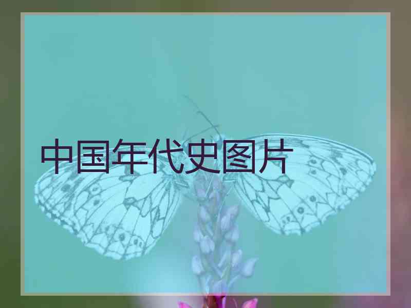 中国年代史图片